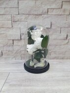 Роза в колбе PREMIUM Light тройная белая