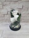 Роза в колбе PREMIUM Light тройная белая